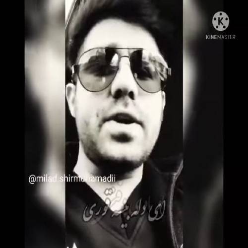 یوسف جمالی دل نامه کس دلم فقط لای تو بید